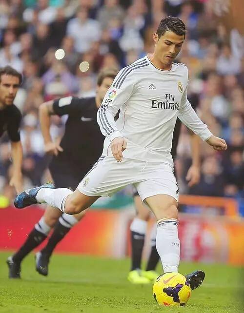 这次的体育 这次的体育