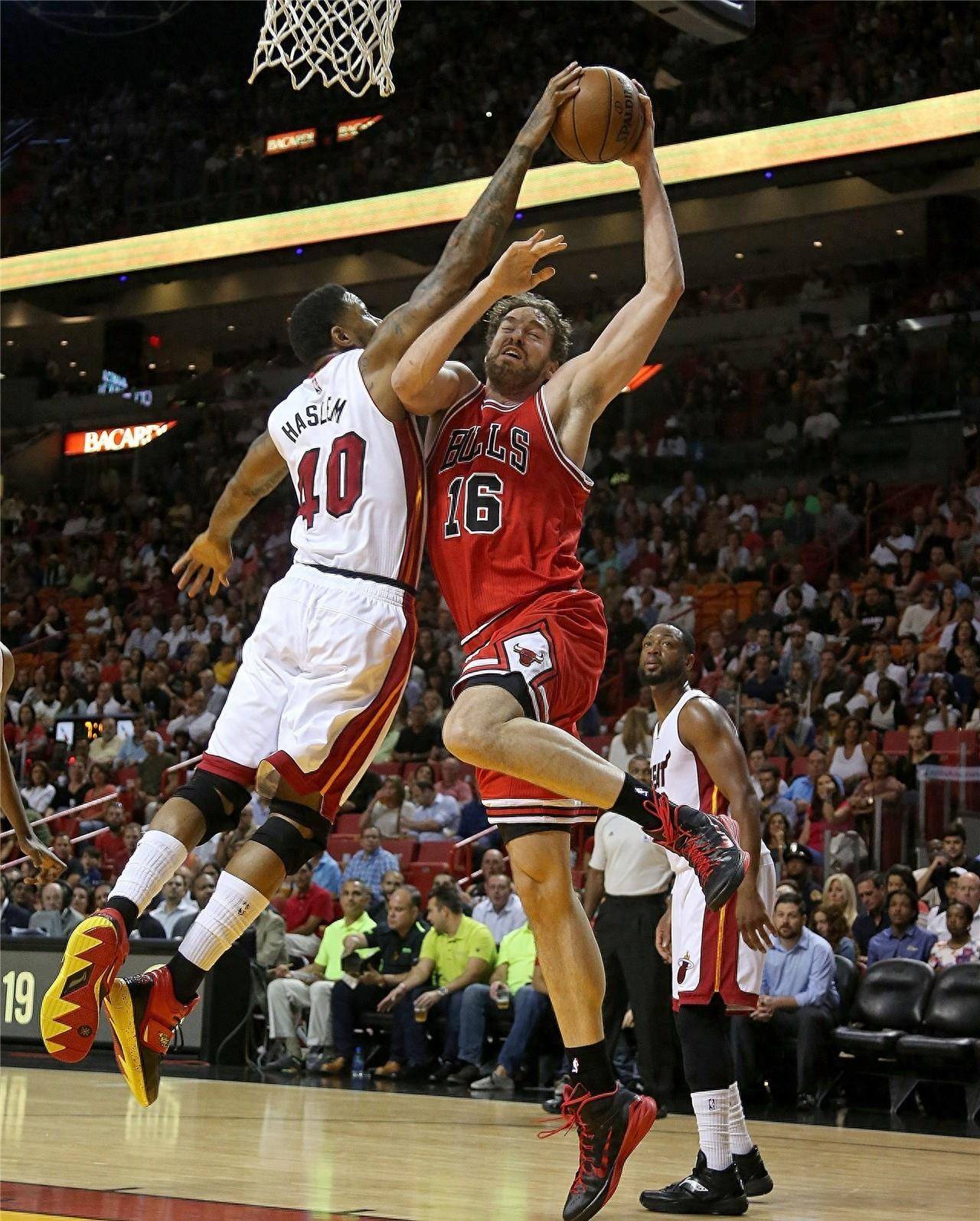 表现出他们 表现出他们