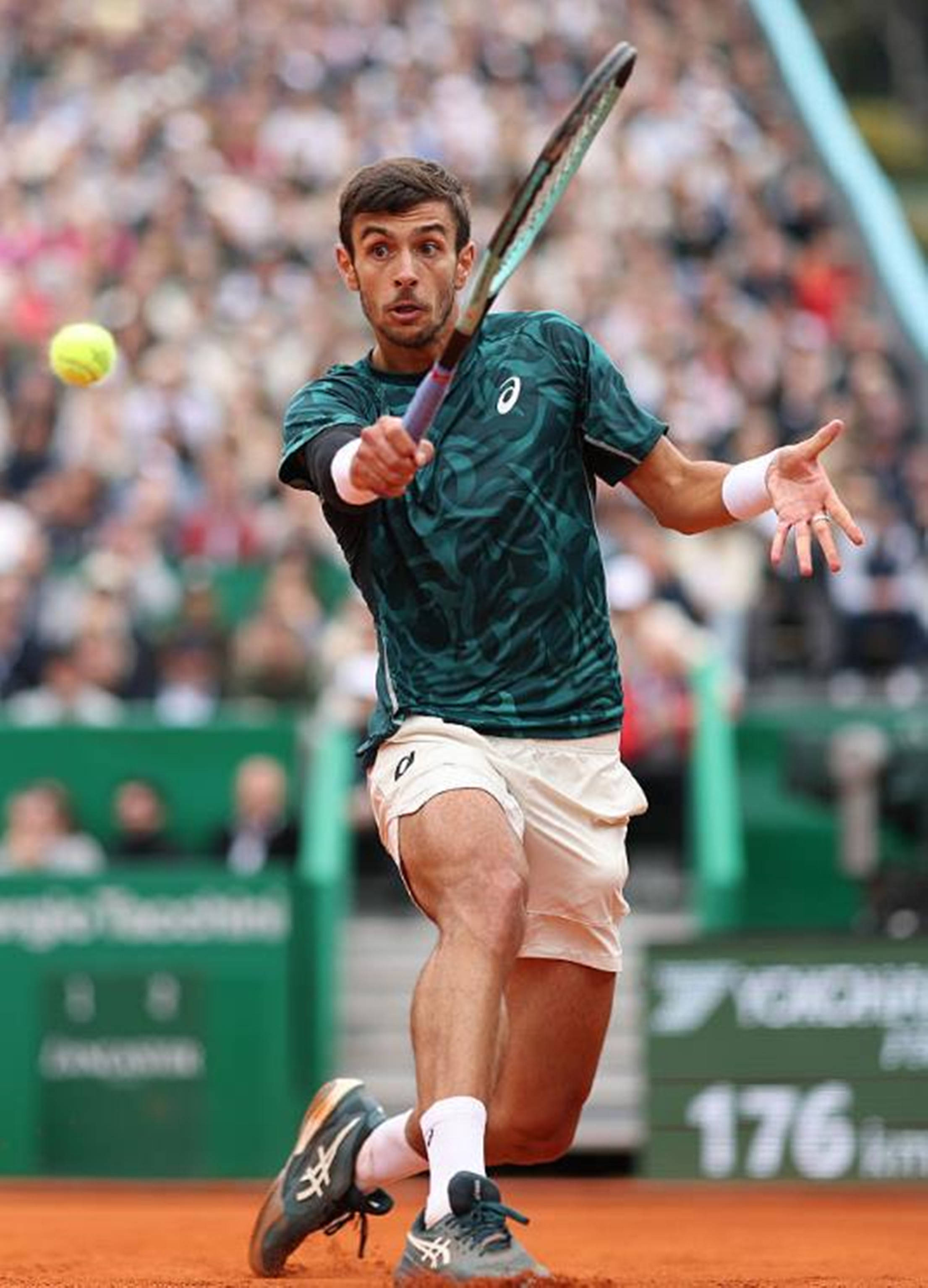 了众多国内 了众多国内